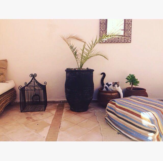 Riad Nejma Lounge Marrakesh Exteriör bild