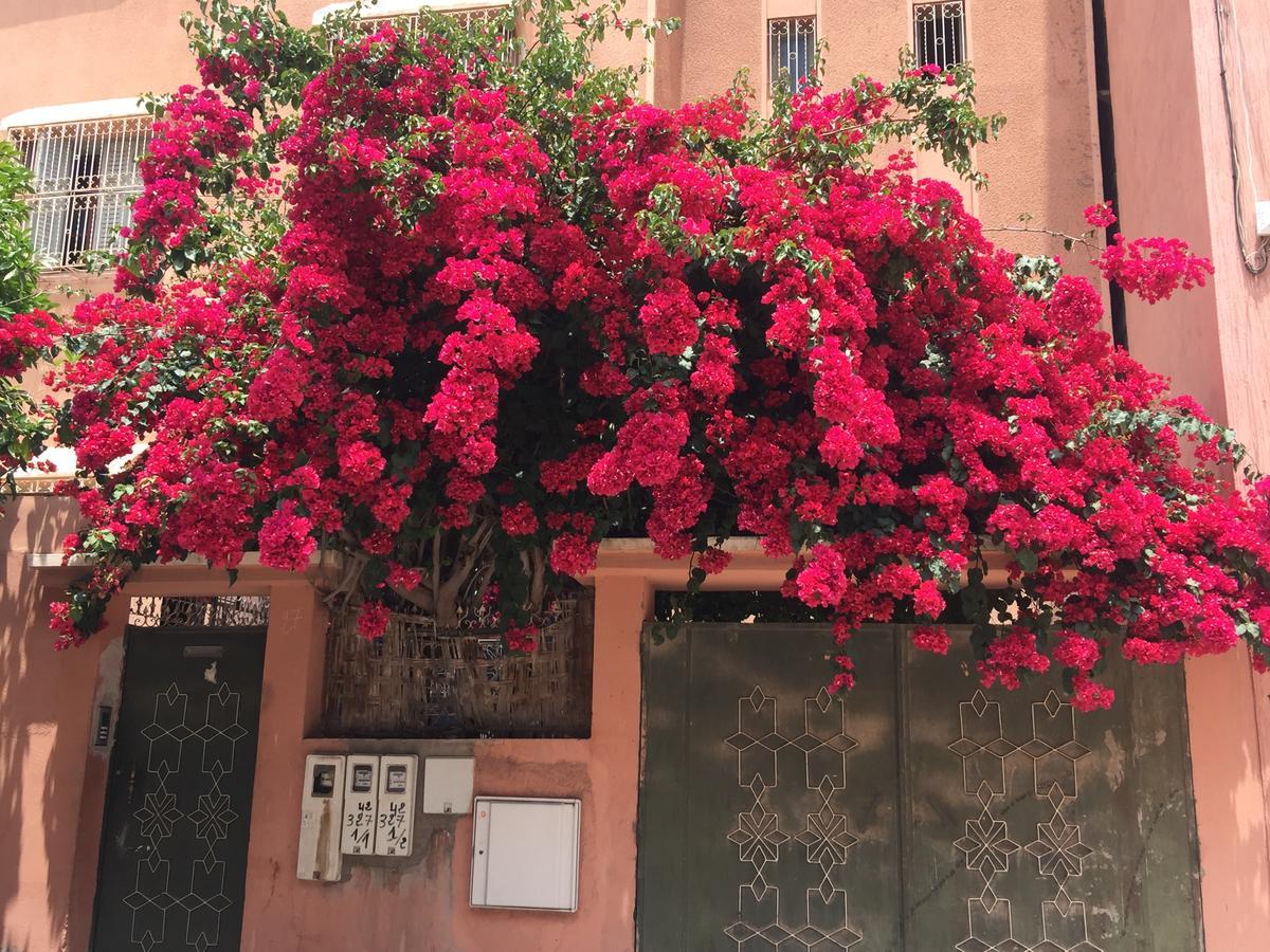 Riad Nejma Lounge Marrakesh Exteriör bild