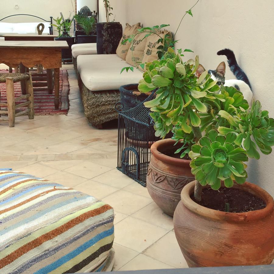 Riad Nejma Lounge Marrakesh Exteriör bild